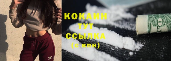 СК Волоколамск