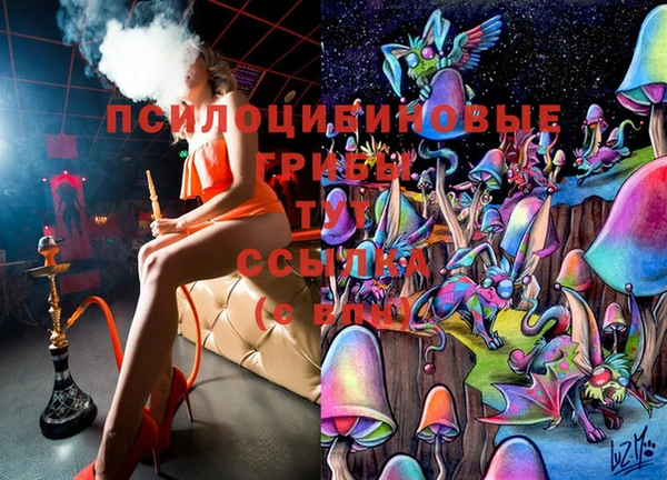 прущие грибы Волосово