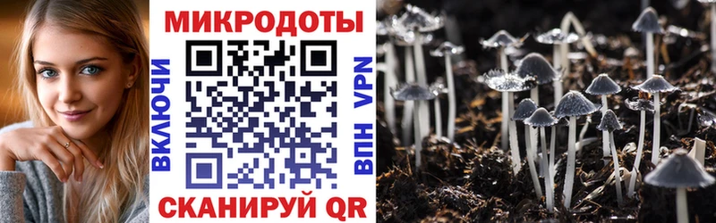 мега вход  Иланский  Псилоцибиновые грибы Cubensis 